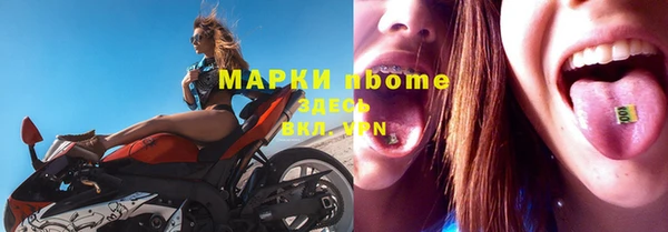индика Нефтекумск