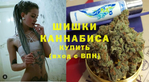 индика Нефтекумск