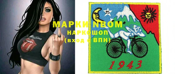 индика Нефтекумск