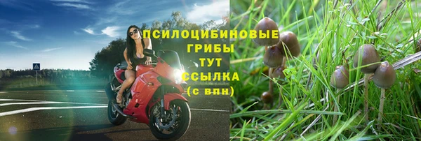 меф Нефтегорск