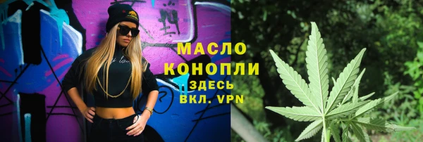 индика Нефтекумск
