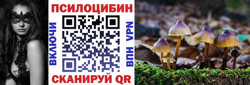 как найти закладки  Кораблино  Псилоцибиновые грибы Psilocybe 